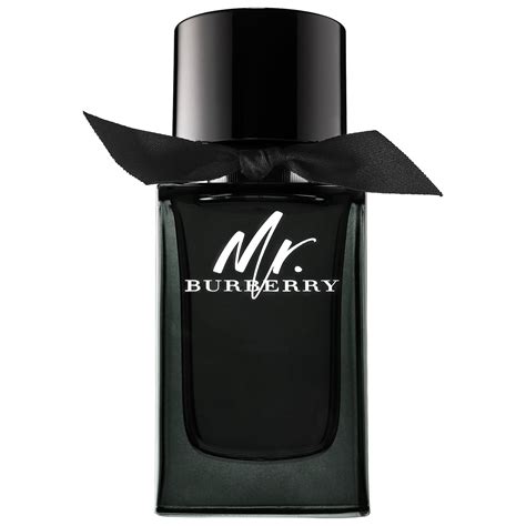 mr burberry cologne price|mr burberry cologne for men.